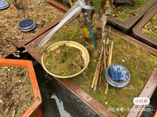 Laden Sie das Bild in den Galerie-Viewer, 1/4/8 pcs Solar Bodenleuchte  Solarleuchten für Außen, Led Solar Gartenleuchten, IP65 Wasserdicht Bodenleuchte Solarleuchten Garten, Außenleuchte für Auffahrt/Rasen/Gehweg/Patio